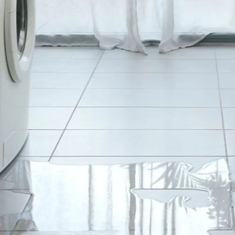Appliance Leak Cleanup in Camano, WA