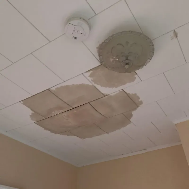 Ceiling Water Damage Repair in Camano, WA